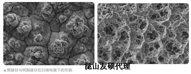 庆阳蔡司庆阳扫描电镜